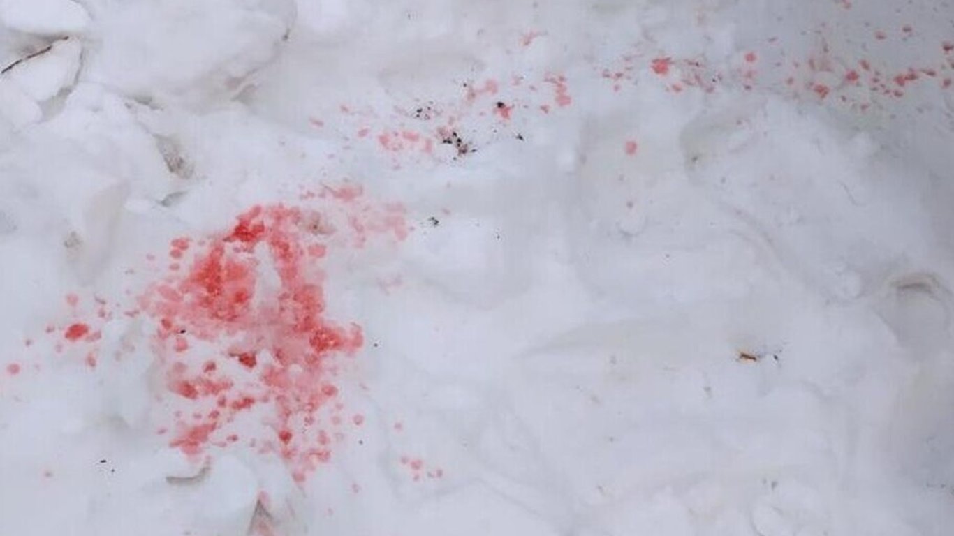 У Києві догхантери масово труять собак — отруту розкидали на снігу
