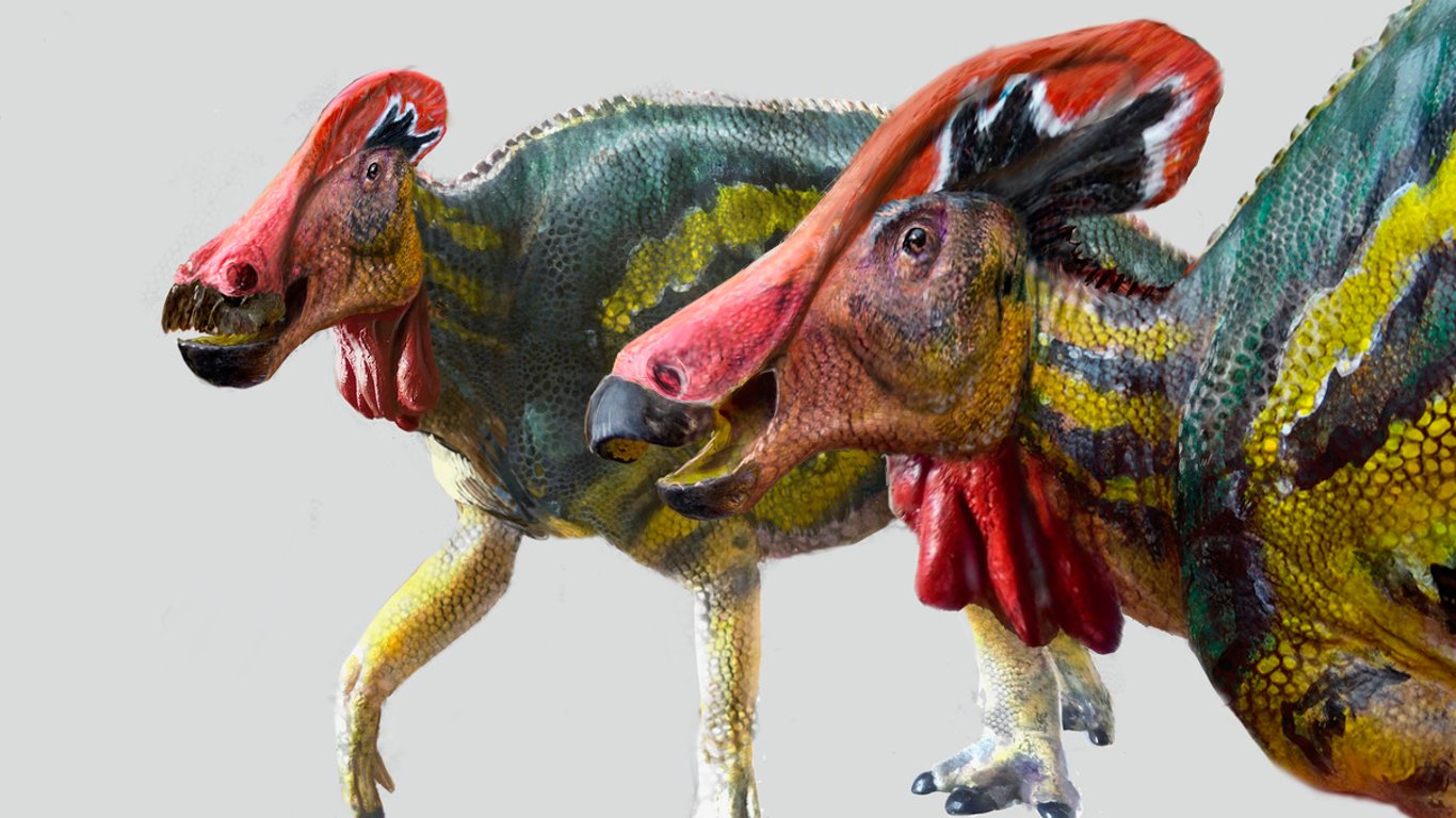 В Мексике нашли новый вид древнего динозавра
