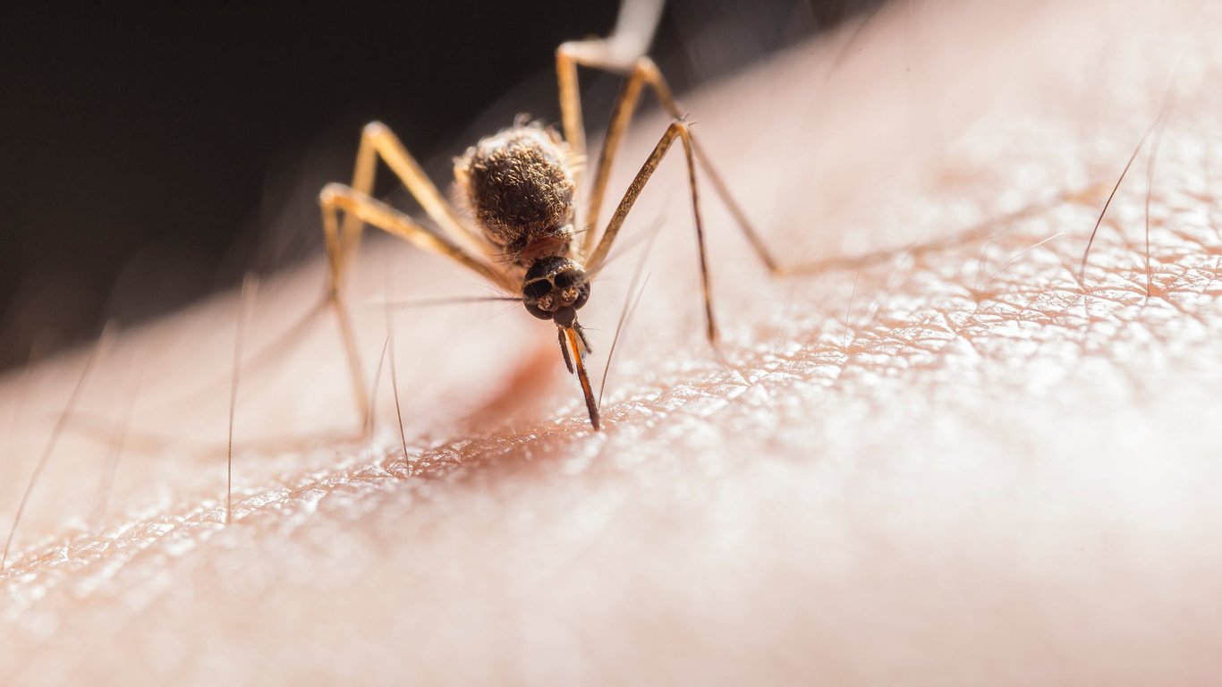 Пять украинцев заболели малярией: один из них умер