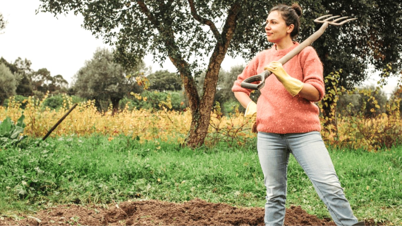 Посівний календар на жовтень 2024 — які дні сприятливі для роботи в саду та на городі