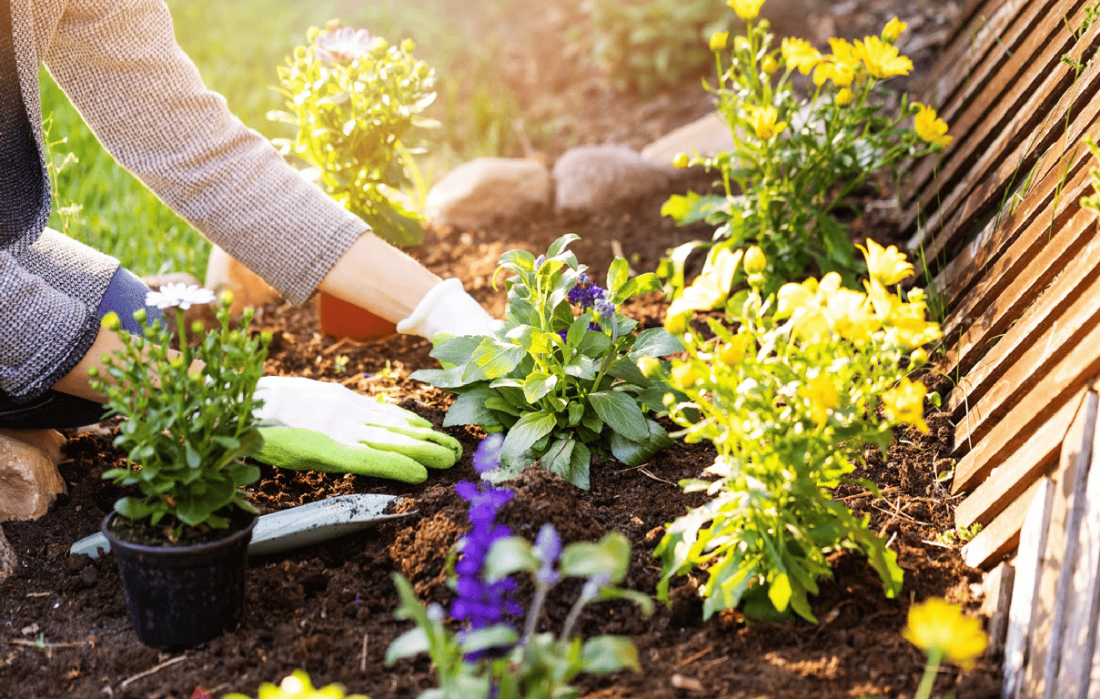 Что делать в саду в июне — уход за цветами и клумбами