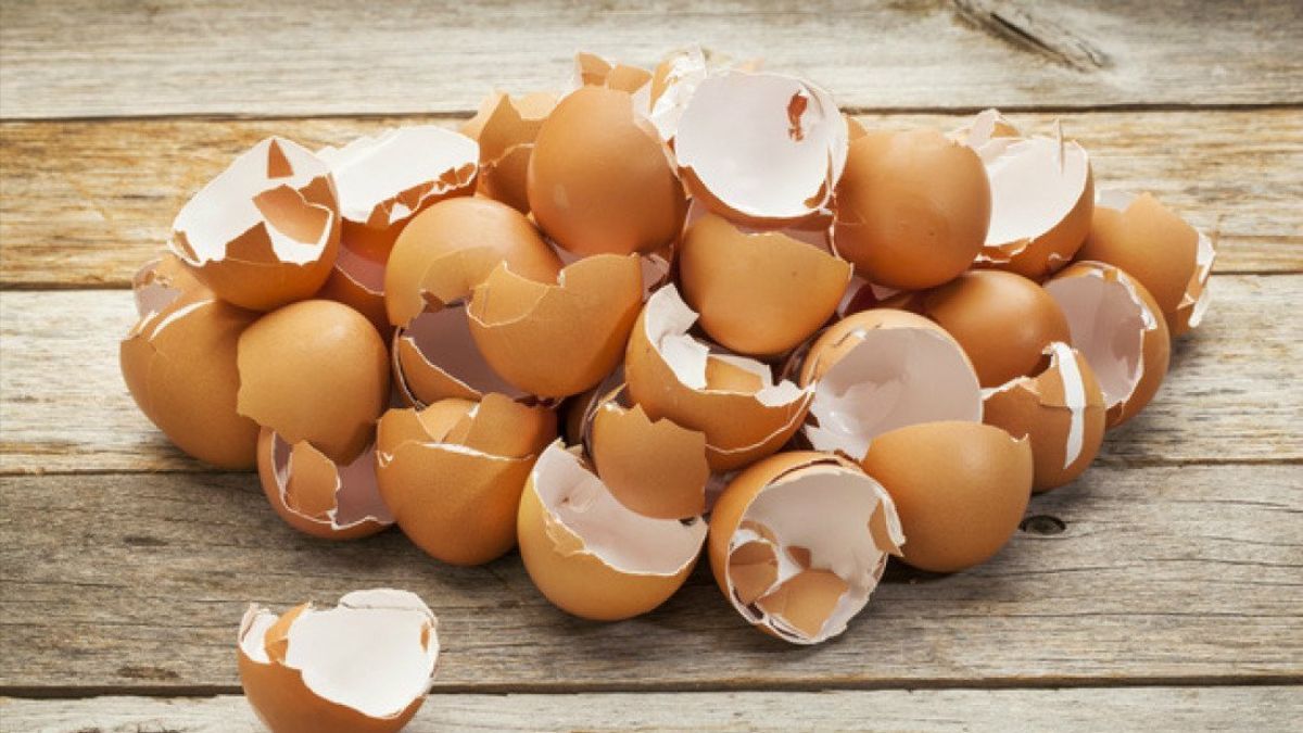 Очищенная скорлупа из яиц