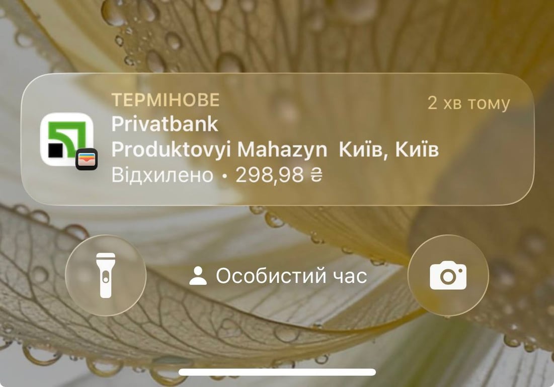 Збій у ПриватБанку: в українців виникли проблеми з оплатами - фото 1