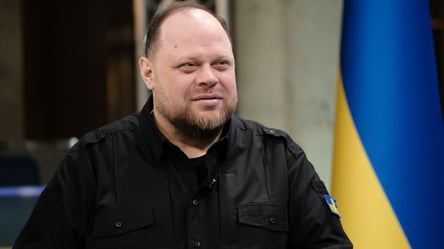 Стефанчук: во время войны зарплаты чиновников нужно ограничить - 290x166