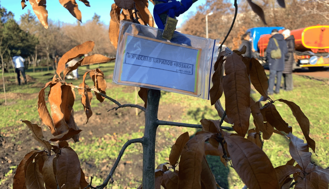 Сквер памяти — в Одессе высадили деревья в честь погибших воинов - фото 2