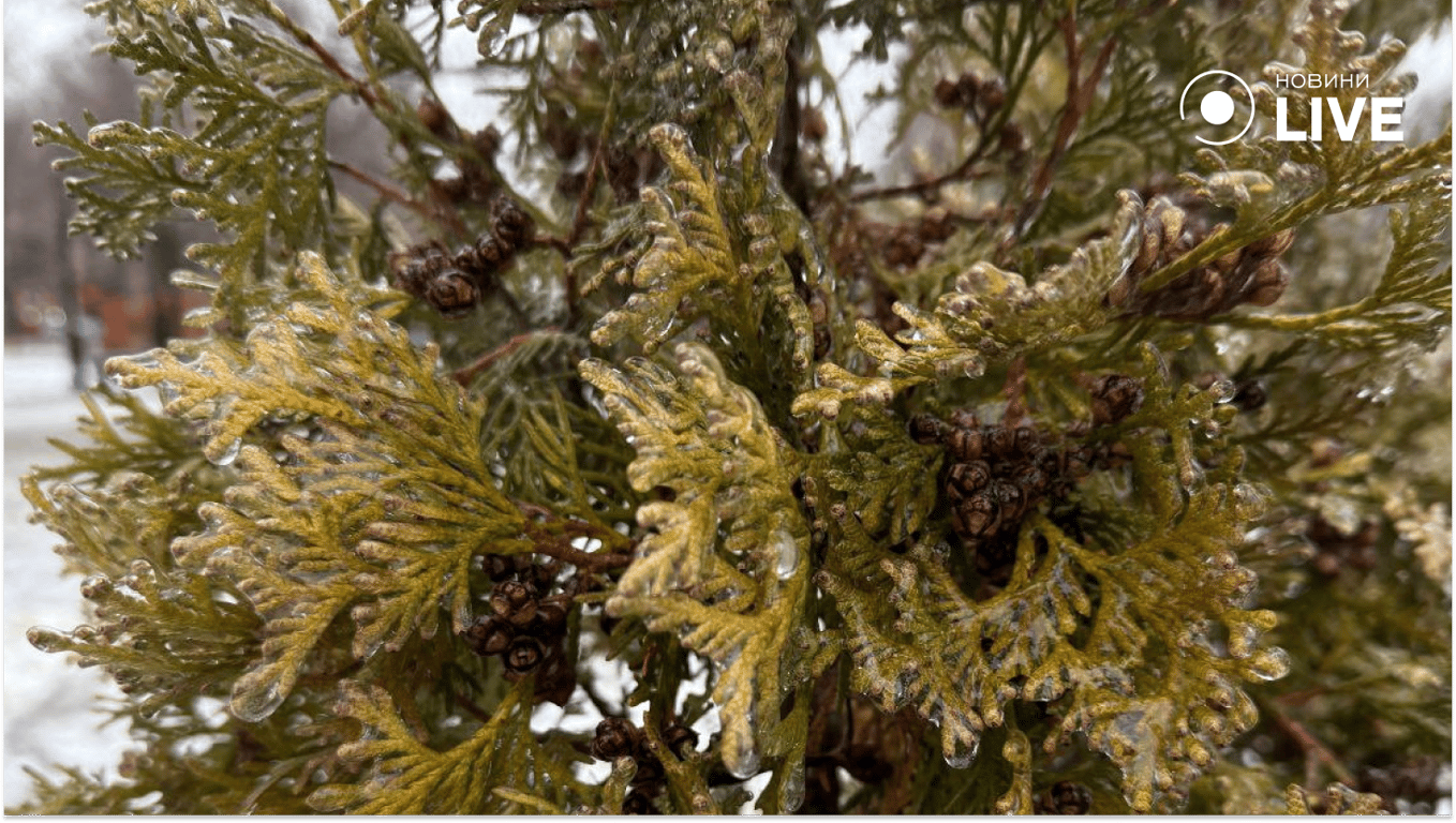 Негода в Одесі