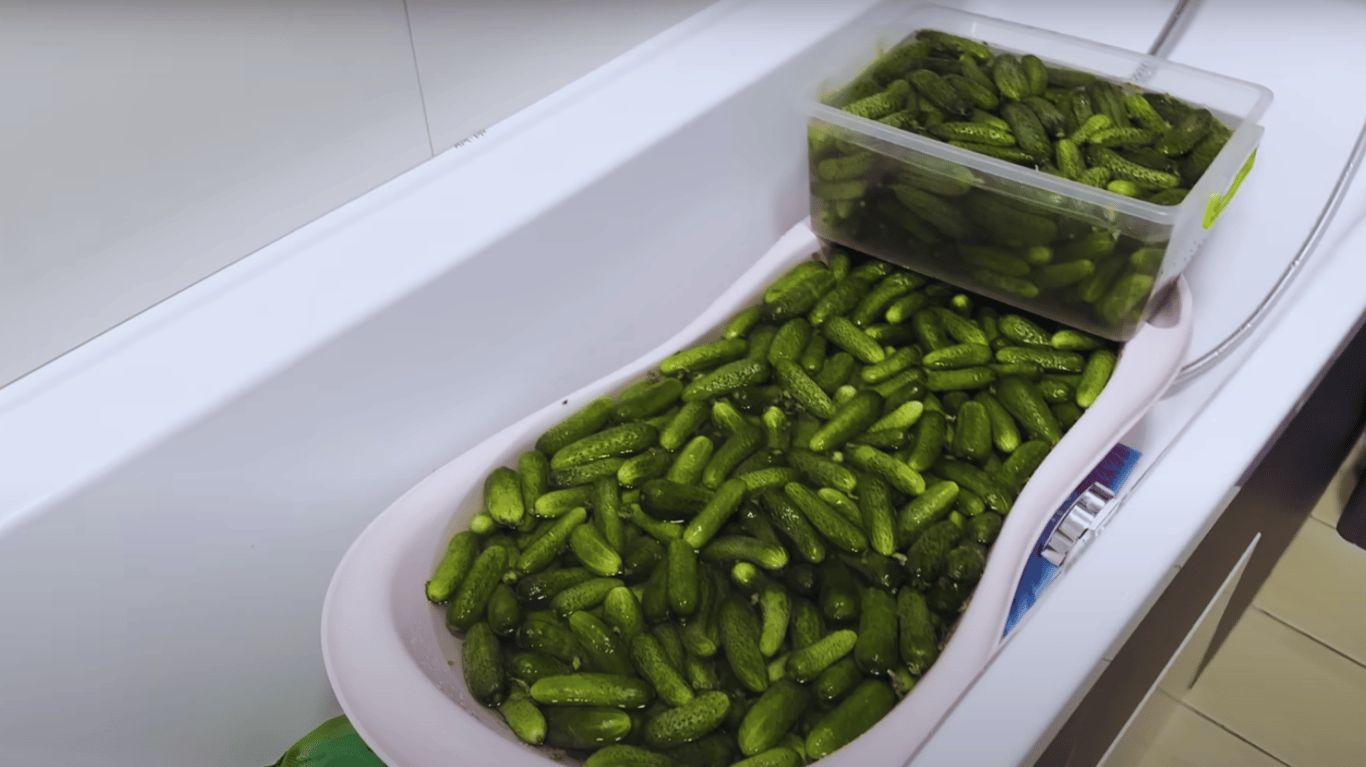 огірки на зиму