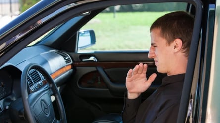 Як навесні позбутися неприємного запаху в автомобілі — лайфхаки - 285x160