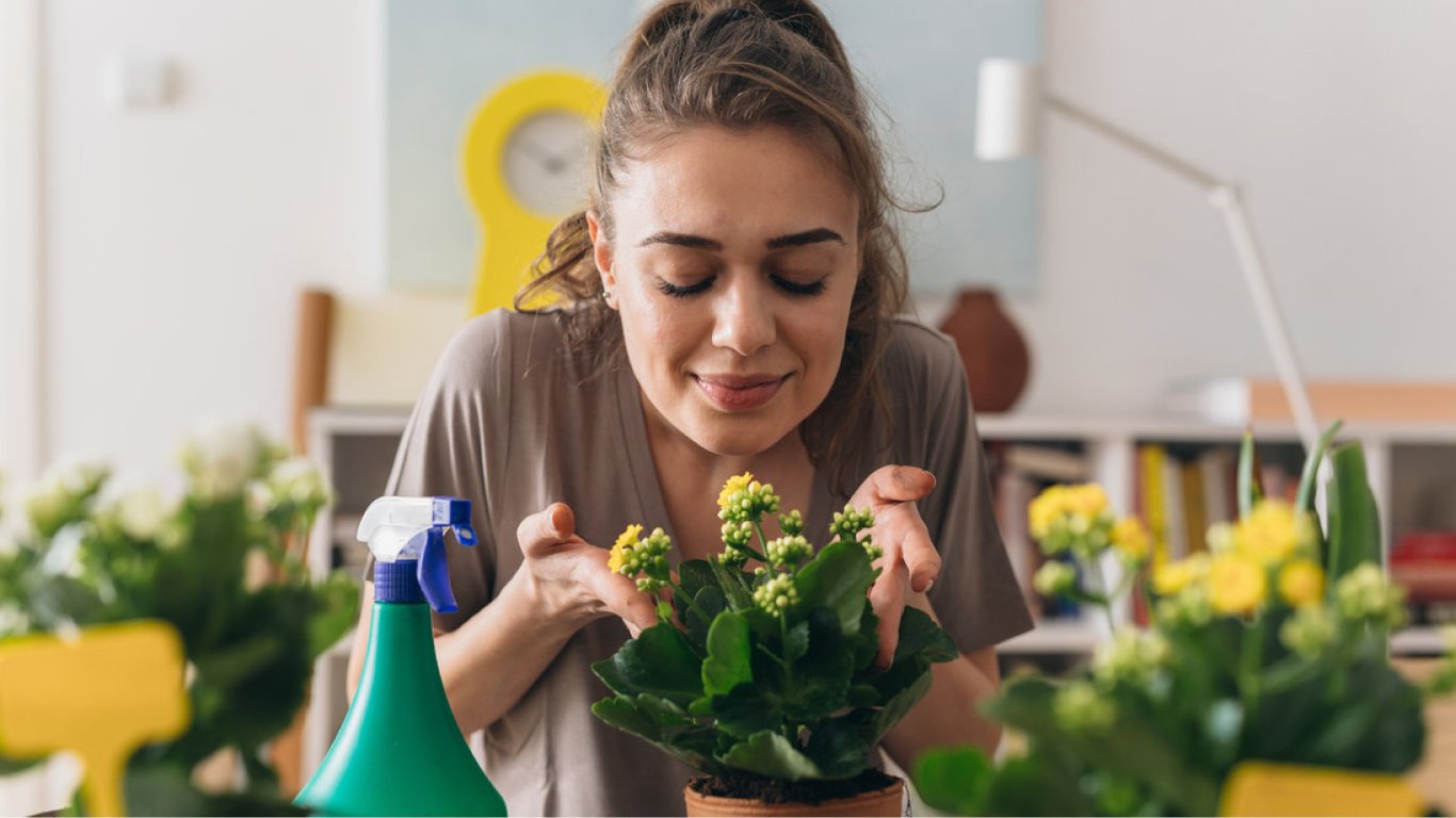 Эти растения улучшат здоровье и поднимут настроение — что нужно посадить дома