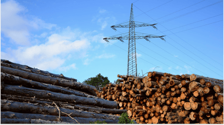 Дрова для опалення — чи можна рубати самосійні дерева біля ЛЕП - 285x160