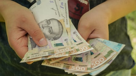 Деякі ФОП можуть не сплачувати податки в Україні: хто має право на пільги - 290x160