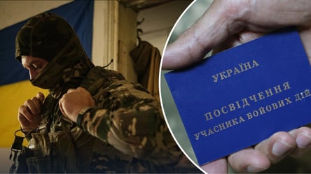 В Україні хочуть змінити правила надання пільг ветеранам: що пропонують - 285x160
