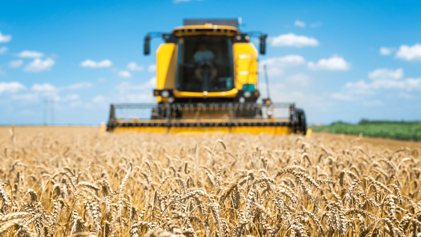 Цены на зерновые в Украине по состоянию на 27 января 2024 года