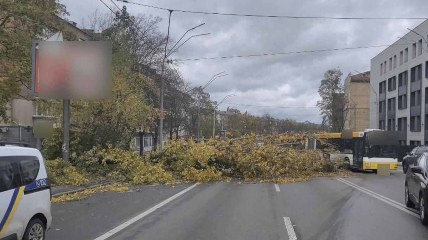 Где в Киеве нельзя проехать из-за падения деревьев 28 октября