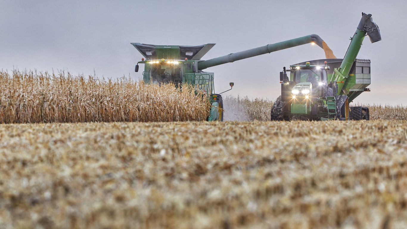 Цены на зерновые в Украине по состоянию на 15 августа 2023 года