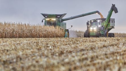 Цены на зерно в Украине: сколько стоит соя в августе - 285x160