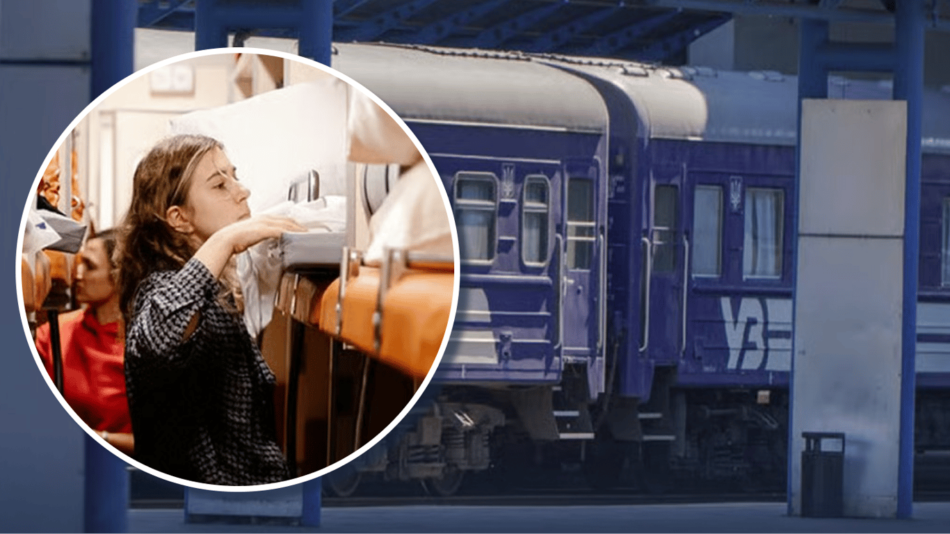 Пасажири Укрзалізниці скаржаться на клопів у вагонах: що відповів перевізник