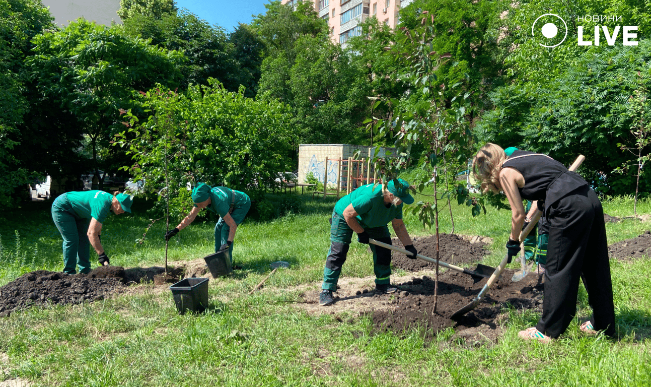 Висадка дерев, Київ