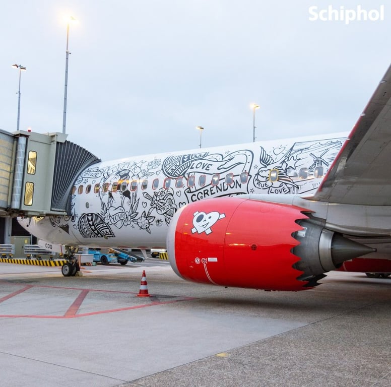 В Нідерландах показали перший в світі літак у татуюваннях - фото 1