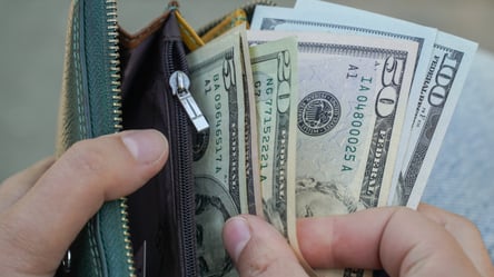 Фіндопомога до 2,4 тис. доларів — хто з українців може отримати - 285x160