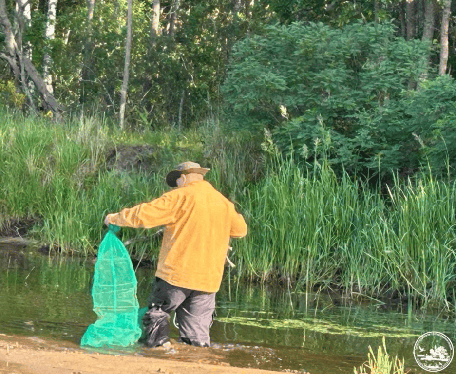 Риби у Чорнобилі