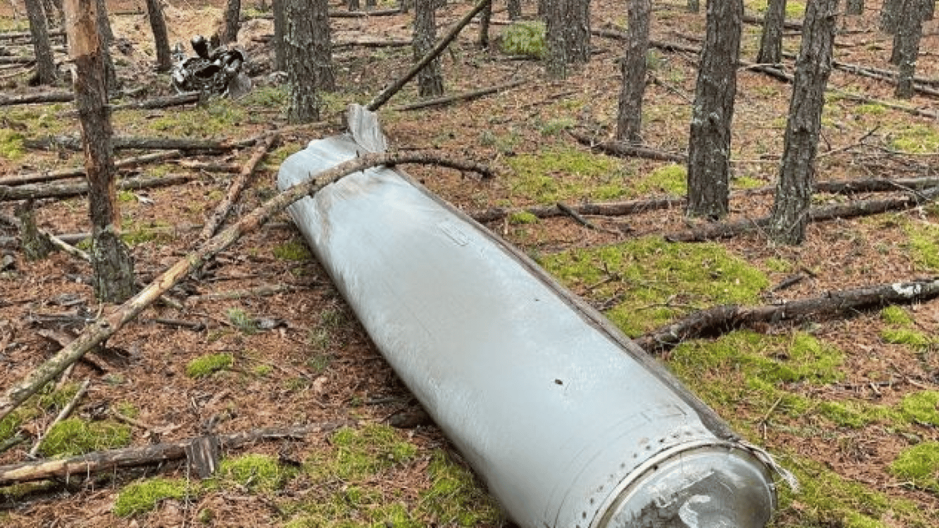 Українець знайшов ракету Х-55/555 у лісі — чим вона небезпечна
