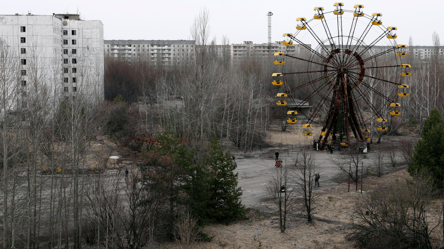 В Чернобыле обнаружили гриб, превращающий радиацию в энергию - 285x160