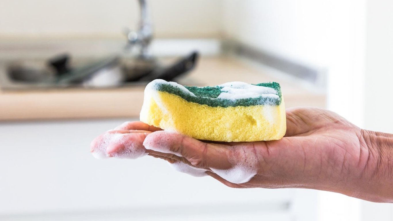 Як часто треба міняти кухонну губку, щоб позбавитися небезпечних бактерій
