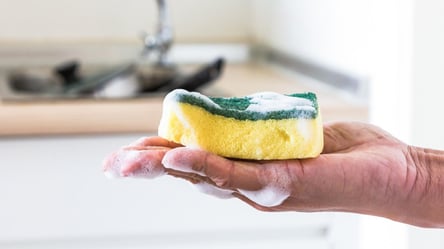 Источник сальмонеллы и кишечной палочки — когда нужно менять губку для мытья посуды - 285x160