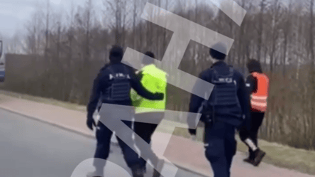 Польские правоохранители задержали украинских перевозчиков на границе - 290x166