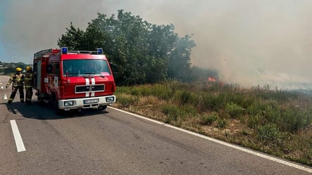 В Одесской области за неделю выгорело 10 гектаров земли: в чем причина - 285x160
