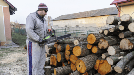 В лес за дровами — о каких нюансах должны знать украинцы - 285x160