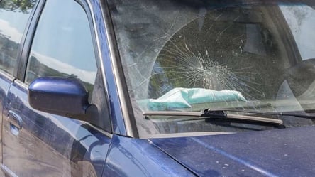 Розтрощила вщент шість автомобілів — на Львівщині патрульний затримав жінку - 285x160