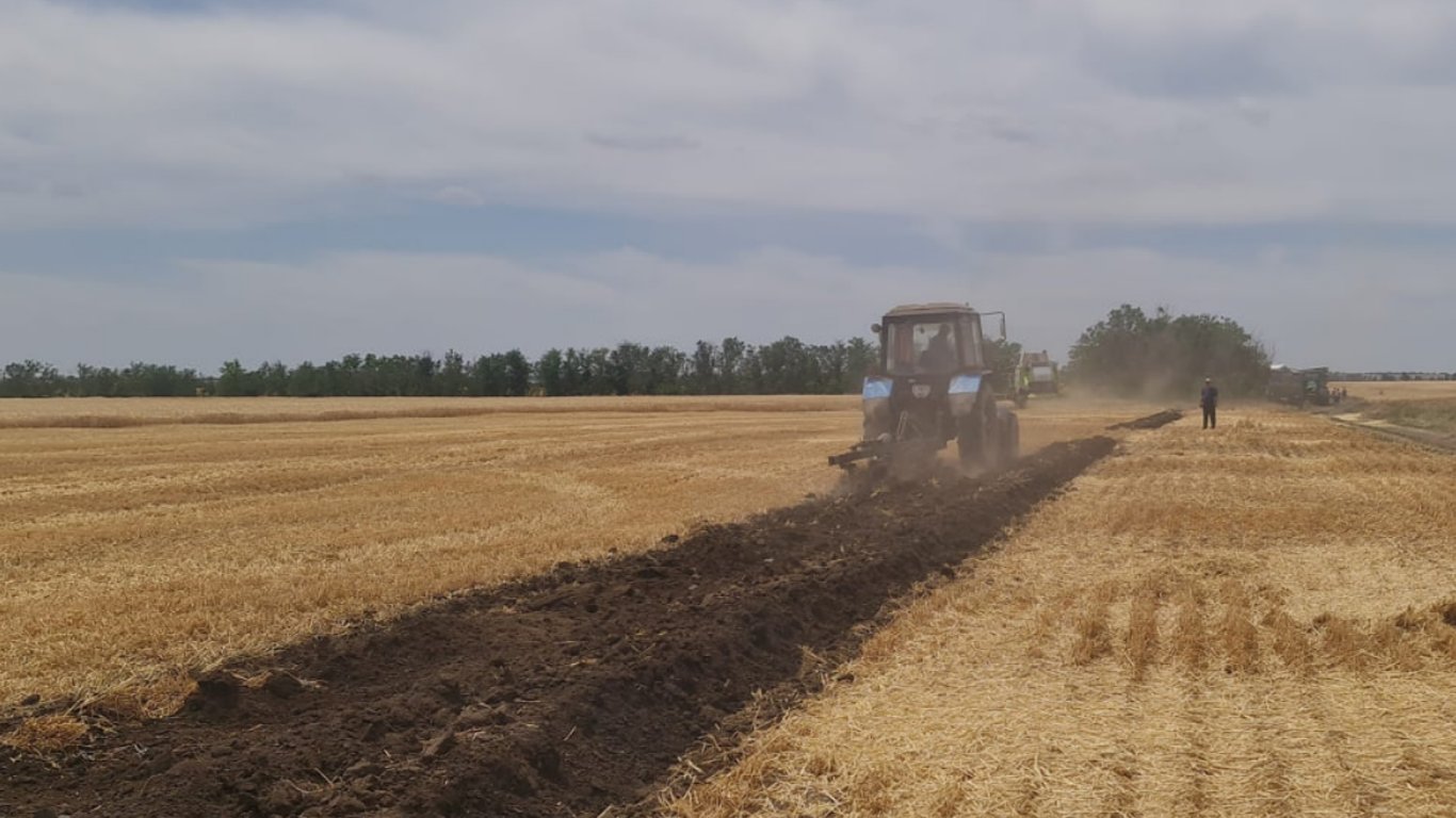 Старт жатвы на Одесчине: аграрии собирают первый урожай в 2024 году