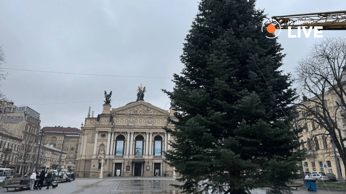 Львів ялинка