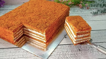 Супер медовик — без розкачування коржів, вийде 100% у всіх - 285x160