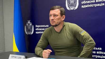 Люди просто виживають: Прокудін про ситуацію в Олешках - 304x171