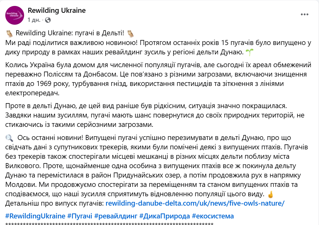 Пугачі відлітають — рідкісні птахи перезимували на Одещині - фото 1