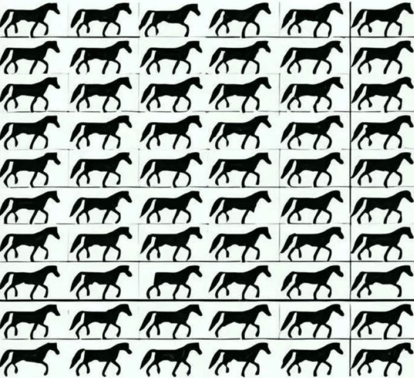 Оптическая головоломка на внимательность