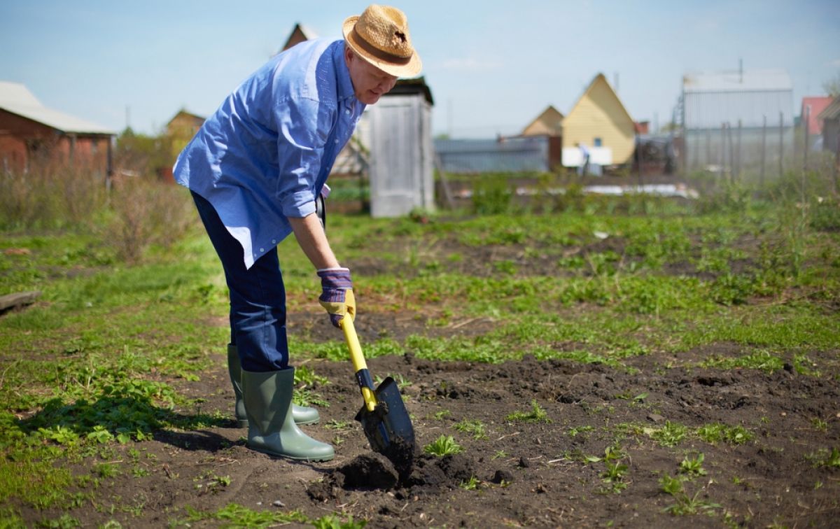 Лунный календарь на июнь 2024 года — благоприятные и неблагоприятные дни