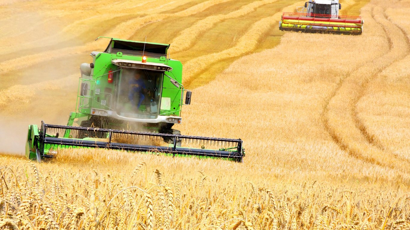 Цены на зерновые в Украине по состоянию на 24 ноября 2023 года