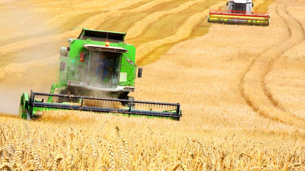 Цены на зерно в Украине — сколько стоит пшеница в ноябре - 285x160