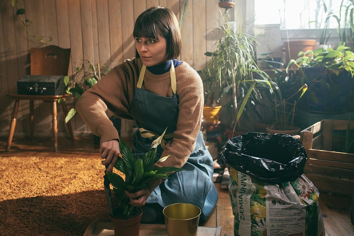 Місячний календар пересадки кімнатних рослин на листопад 2024 року — несприятливі дати