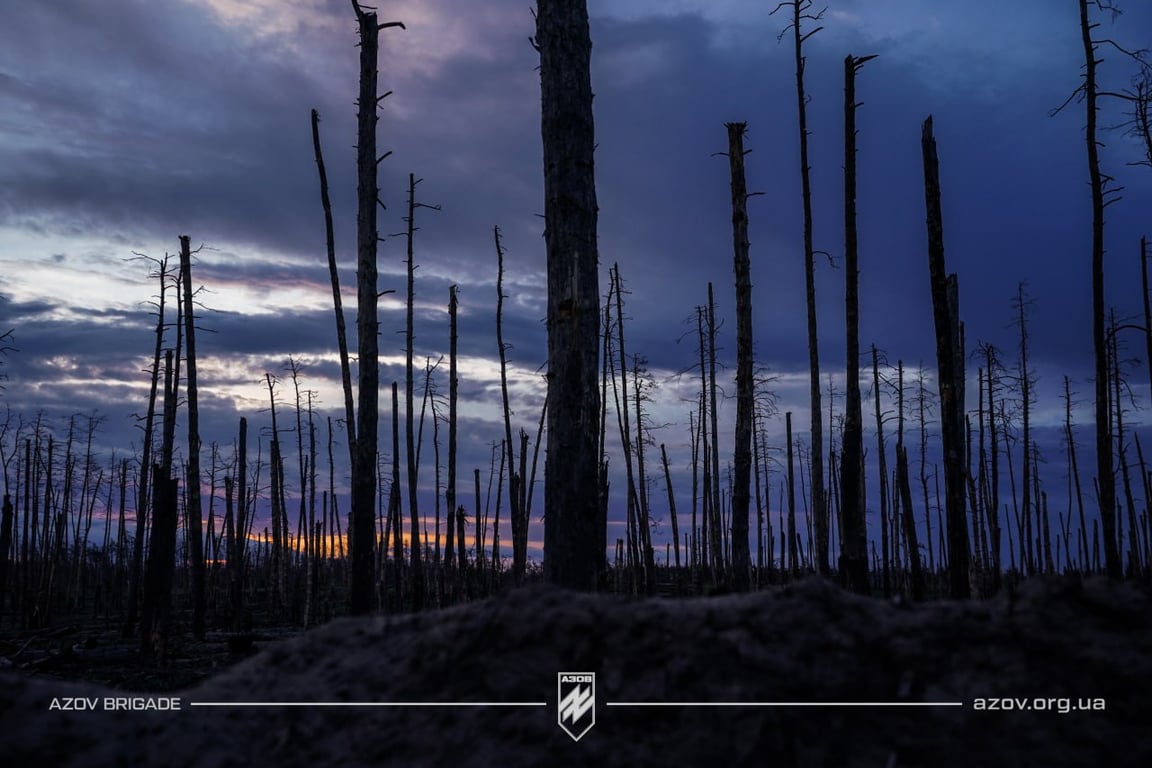 Серебрянский лес