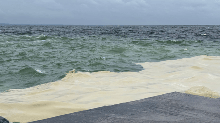 Загрязнение моря в Одессе — какие последствия для экологии - 290x160