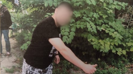 В Харькове вынесли приговор иностранцу, пытавшемуся зарезать человека за замечание - 285x160