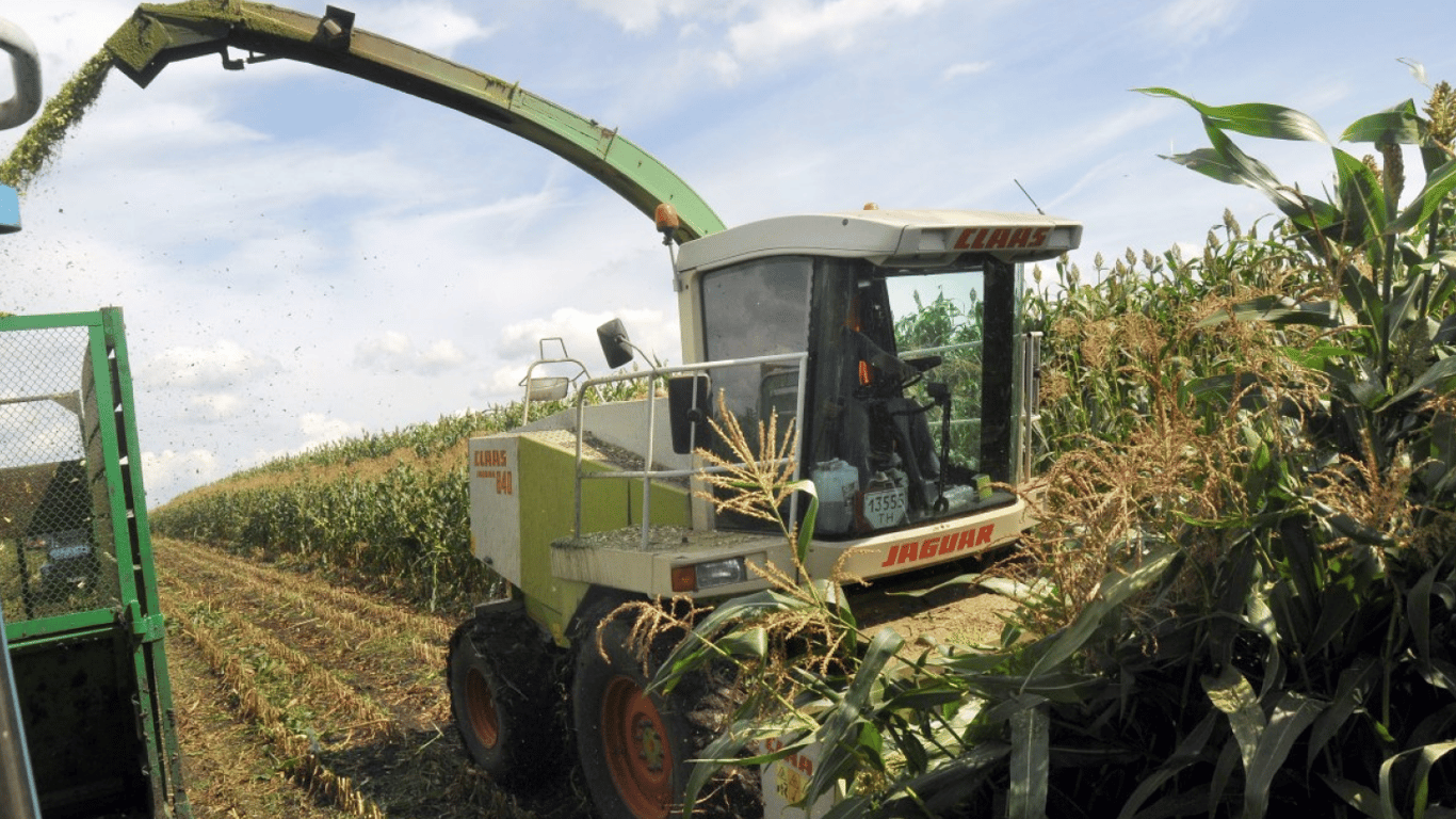 Цены на зерновые в Украине по состоянию на 31 марта 2024 года — сколько стоит кукуруза