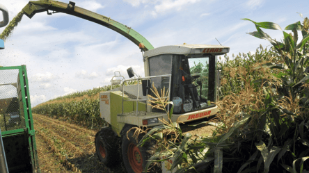 Цены на зерно в Украине — сколько стоит кукуруза в конце марта - 290x166