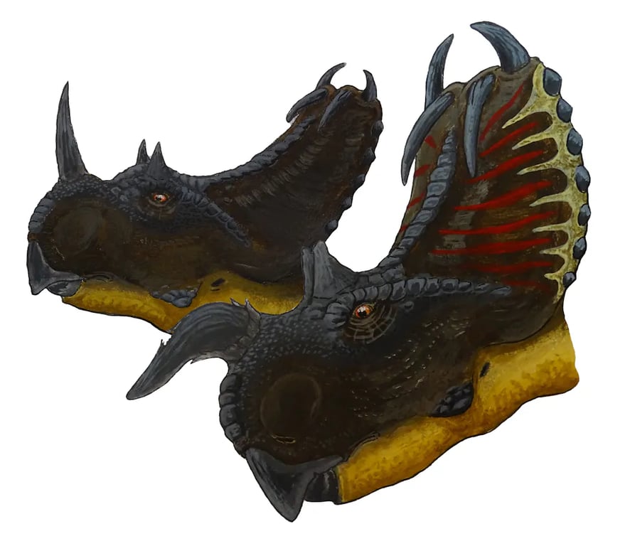 Половой диморфизм у динозавров — выяснили ученые