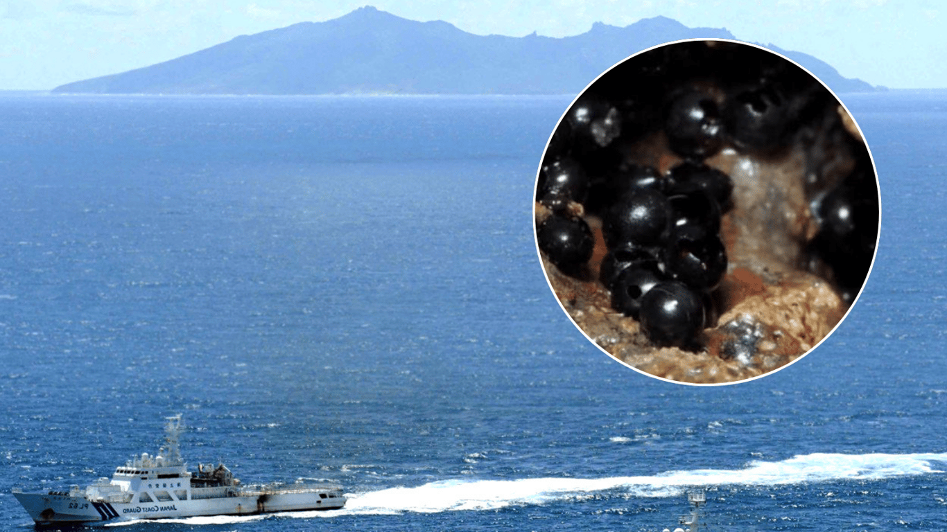 На дні Тихого океану знайшли таємничі чорні сфери — вони виявилися живими